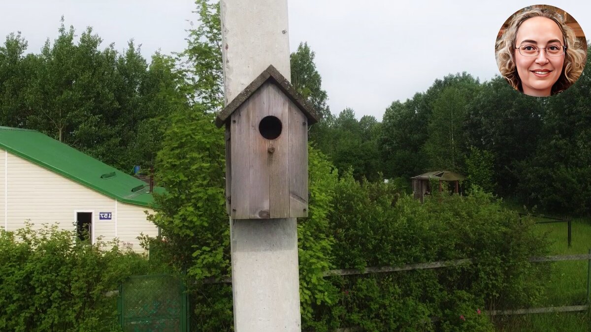 Как сделать скворечник из дерева