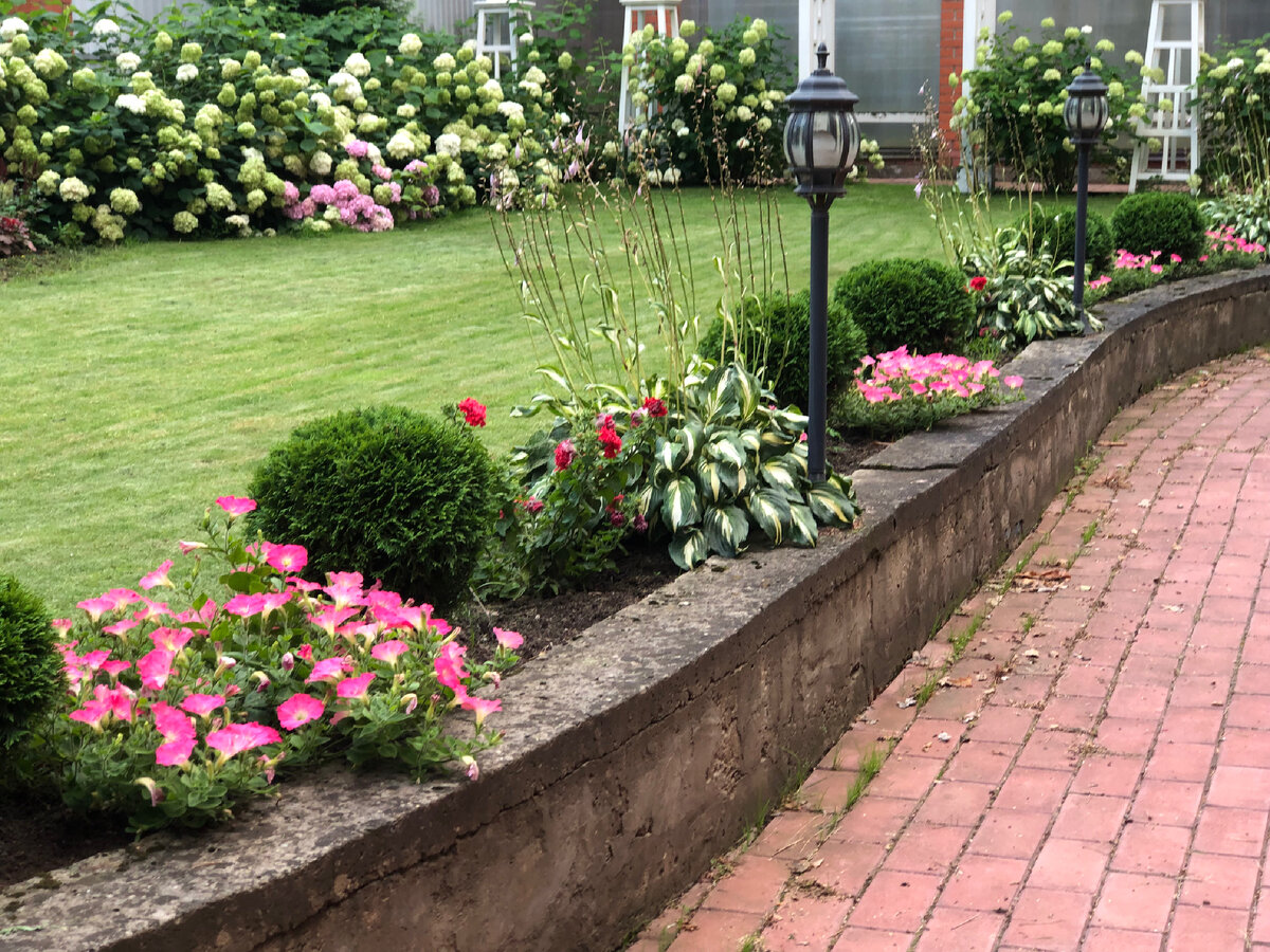 Фото из сада