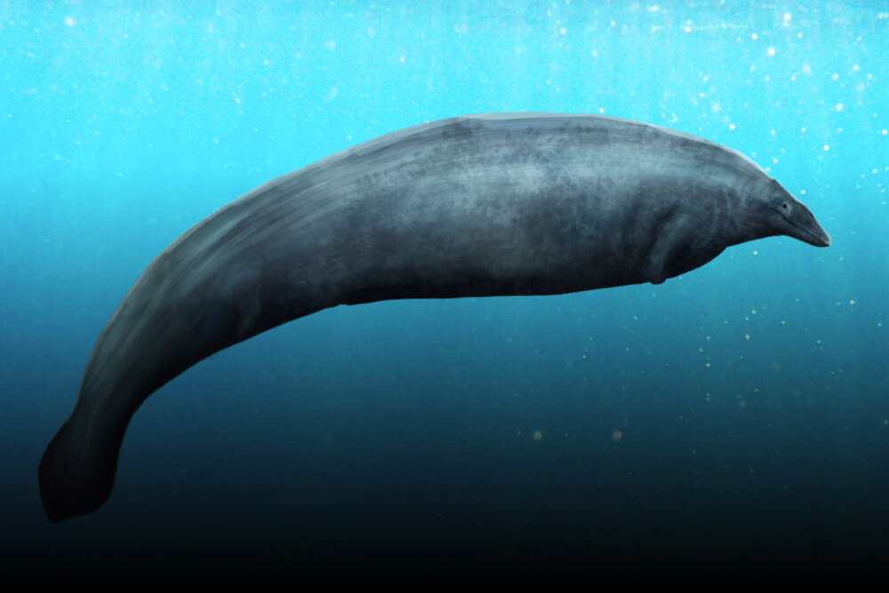     Фото: Wikipedia.org