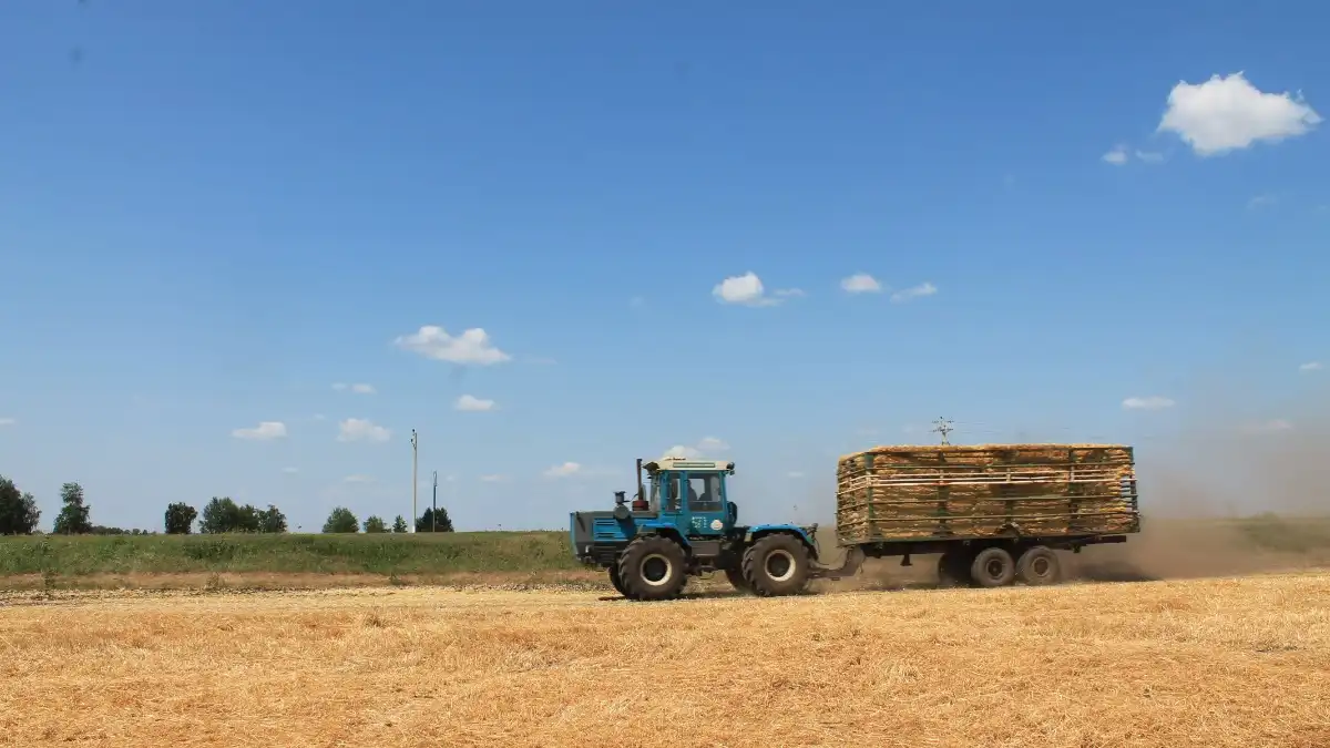  Фото: glavpahar.ru
Фотография носит иллюстративный характер