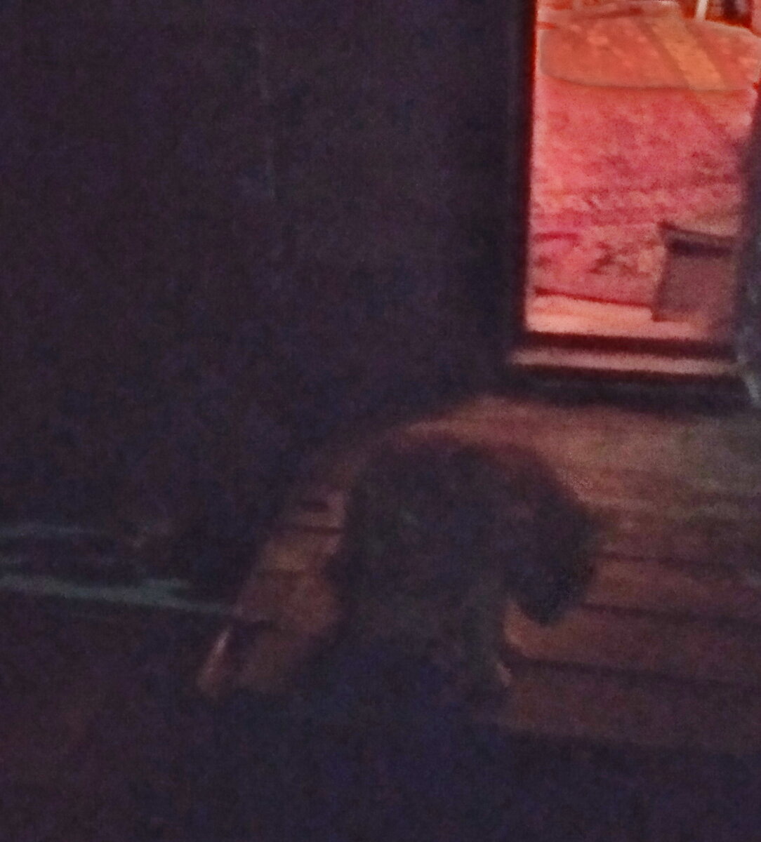 Личное фото.