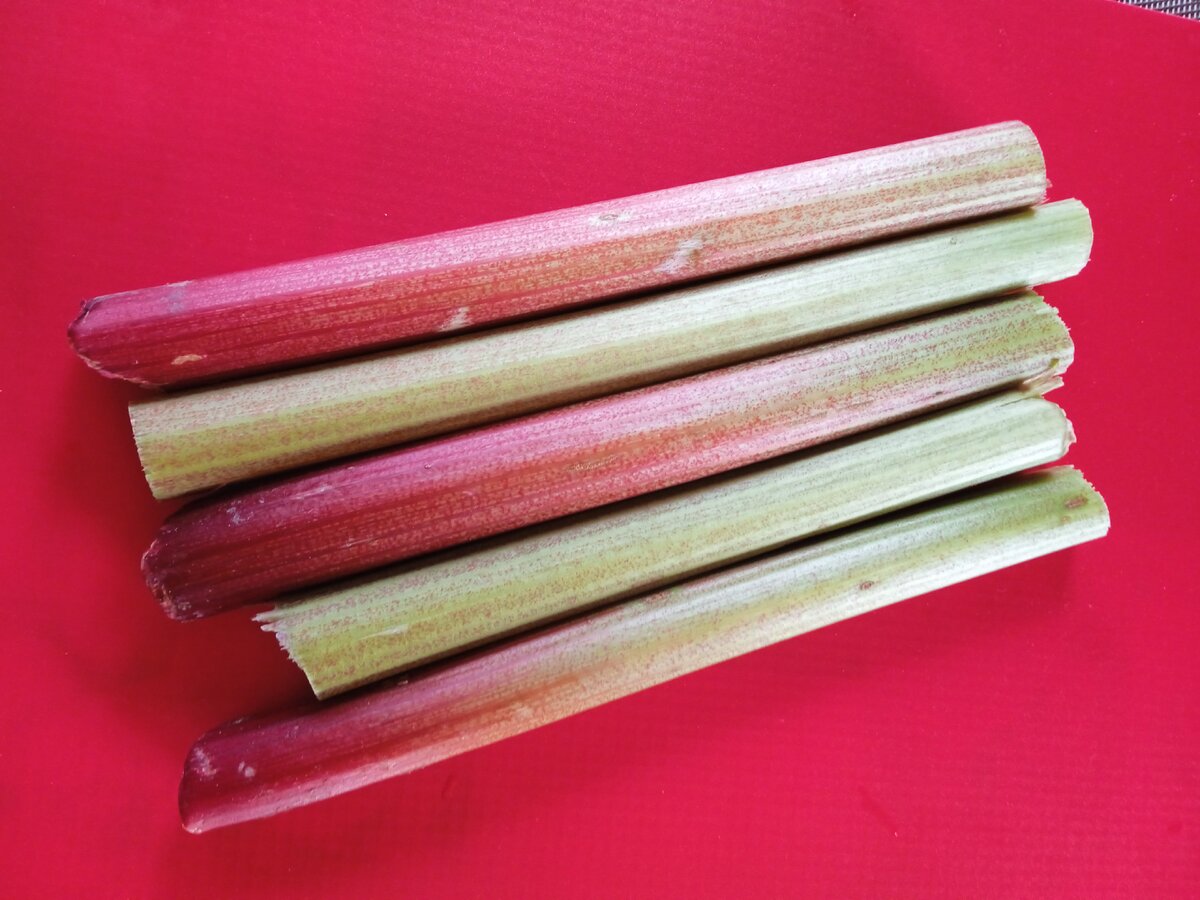 Толстые стебли ревеня.