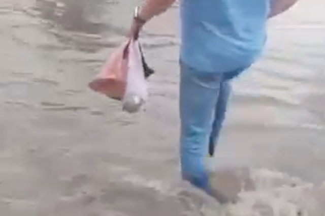    Фото: кадр из видео/ АиФ