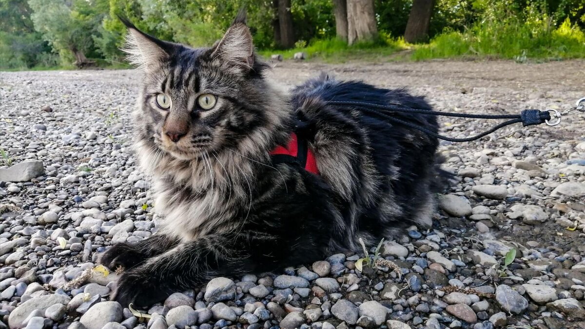 Космос на берегу Томи