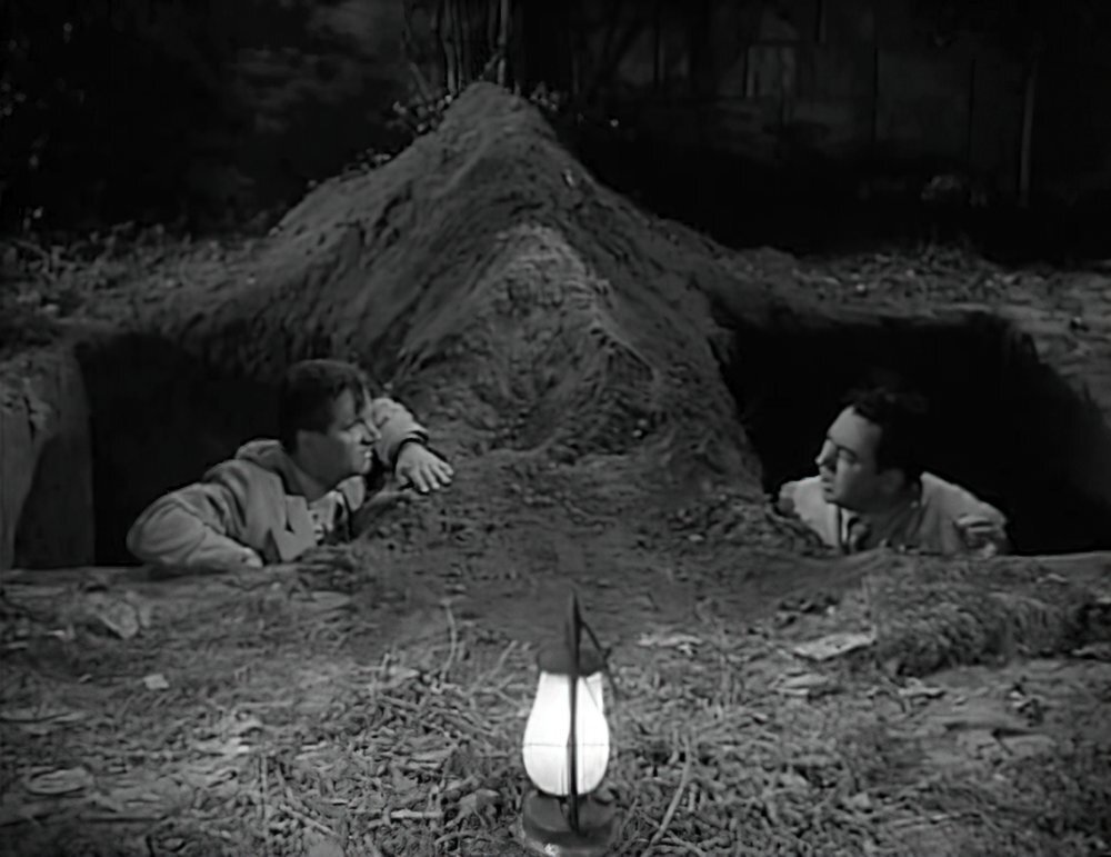 Главные роли в комедии «Зомби на Бродвее» сыграли Уолли Браун и Алан Карни