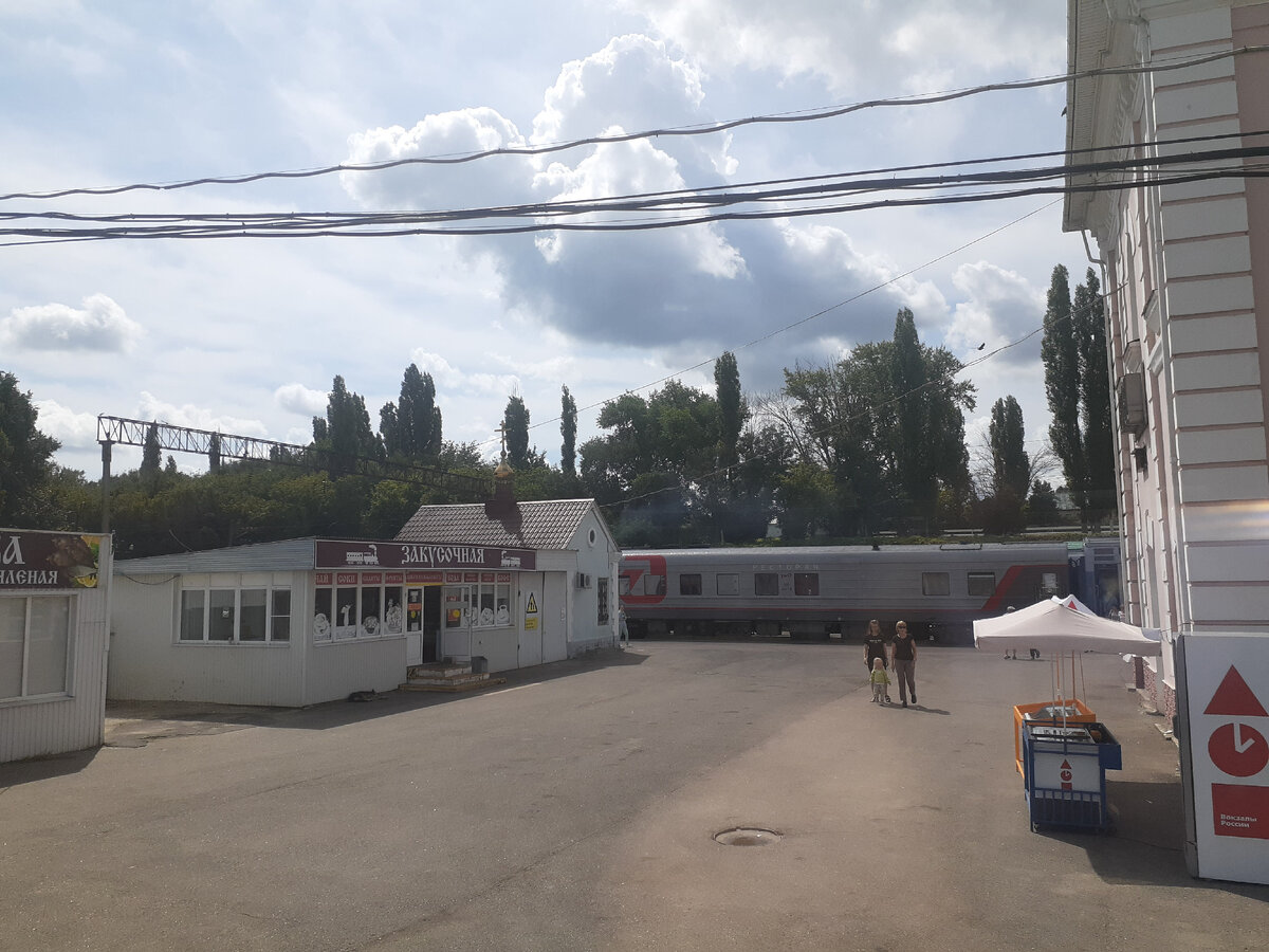 Путешествие из Тихорецка в Москву | Живой мир вокруг меня | Дзен