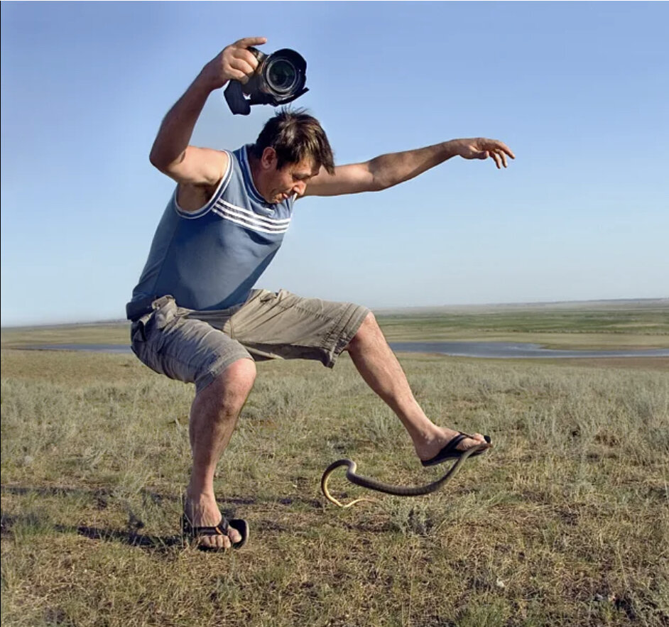 Дети и фотографы главные жертвы укусов змей. Фото из интернета 