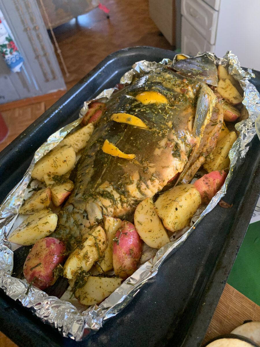 Свежепойманный карп в частном пруду двоюродного деда