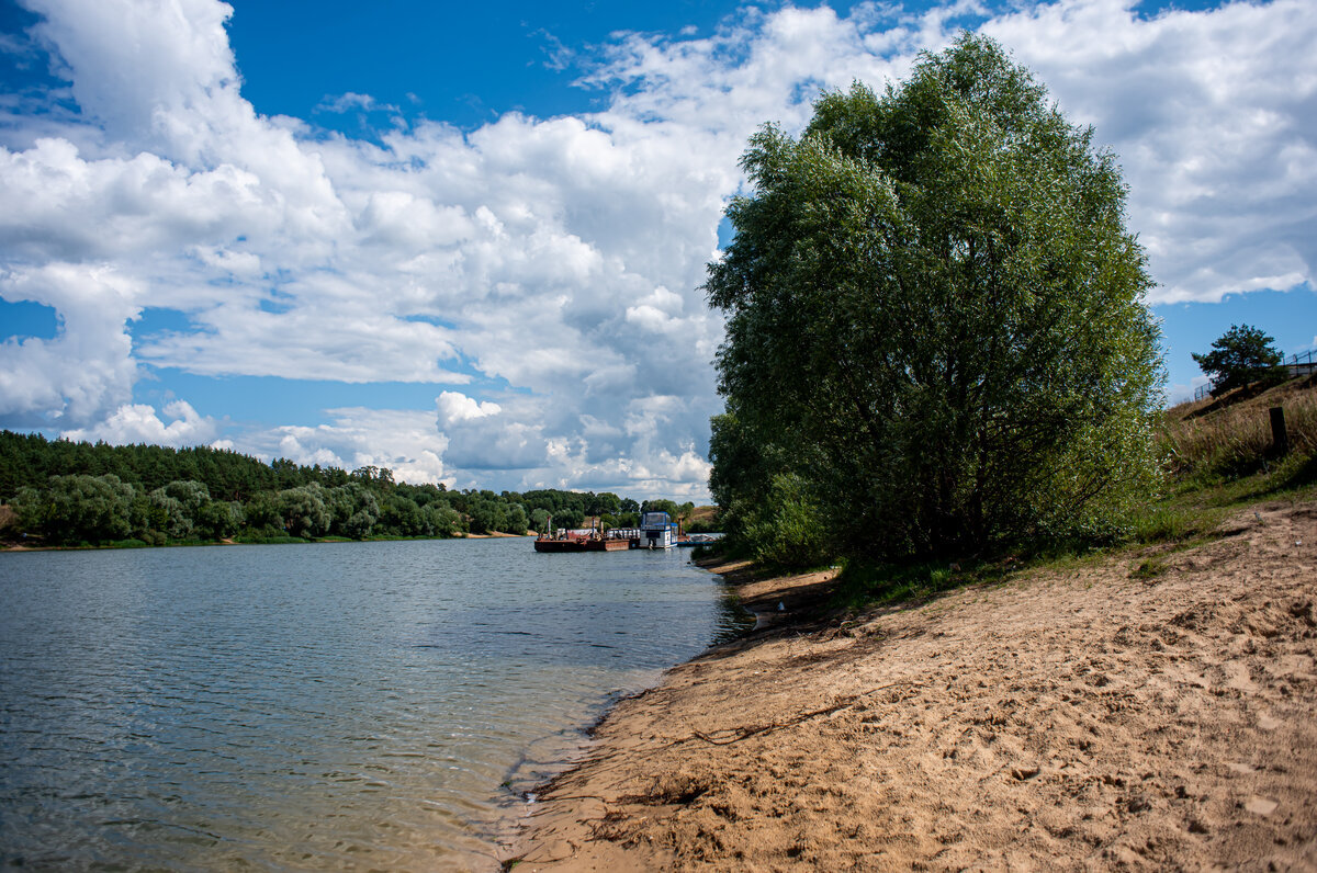 Походы с палатками в Подмосковье: берега водоемов, окрестности заповедника  и реликтовый лес | Неизведанное Подмосковье – Welcome.mosreg.ru | Дзен