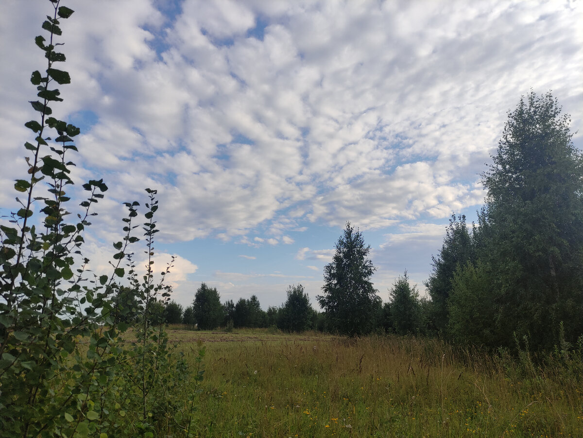 Похолодание грядёт