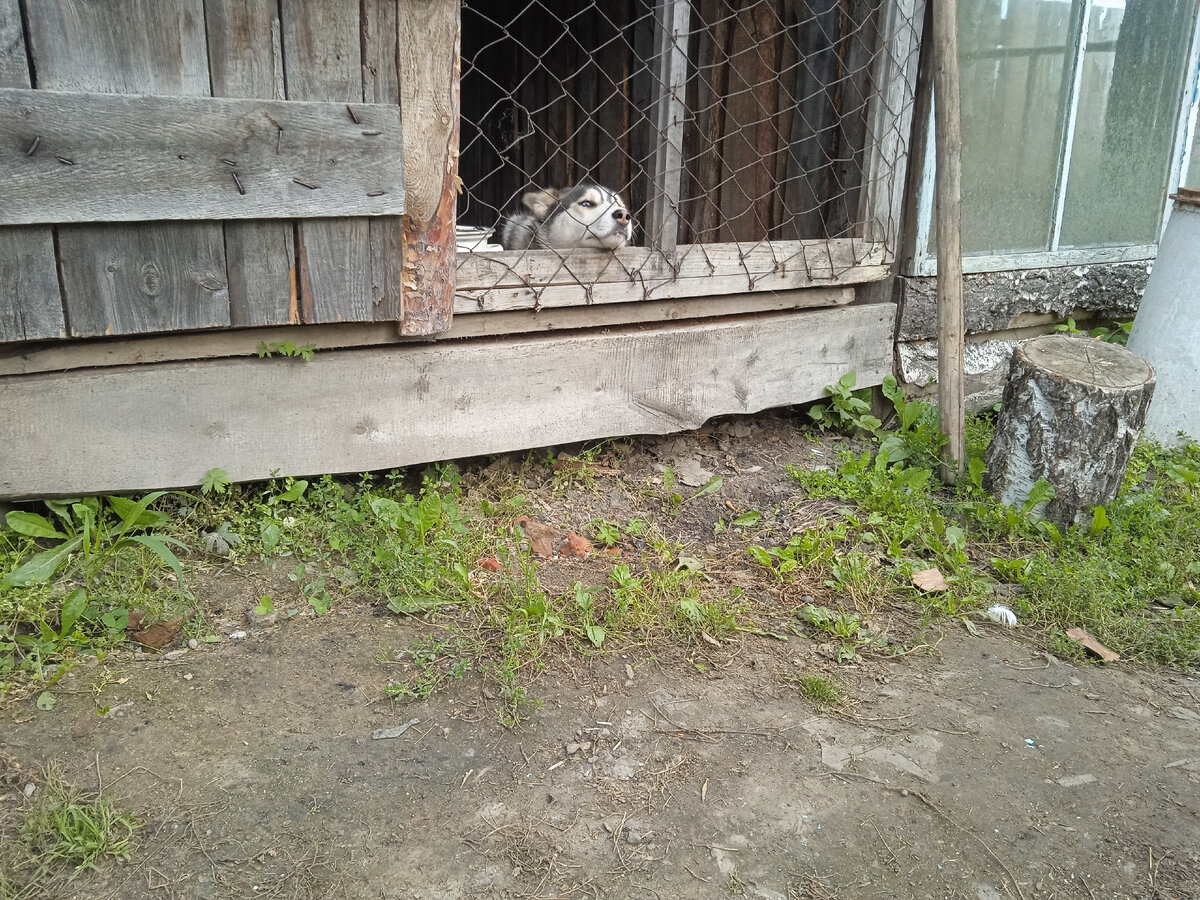 Ждём улучшений 