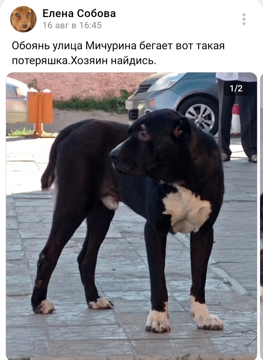 -2