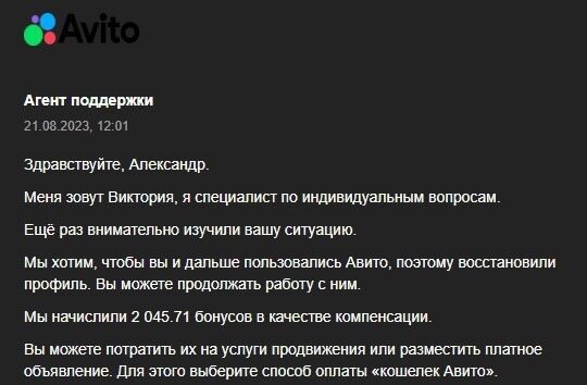 «Avito: история одного пользователя – проблема тысячи людей!»
