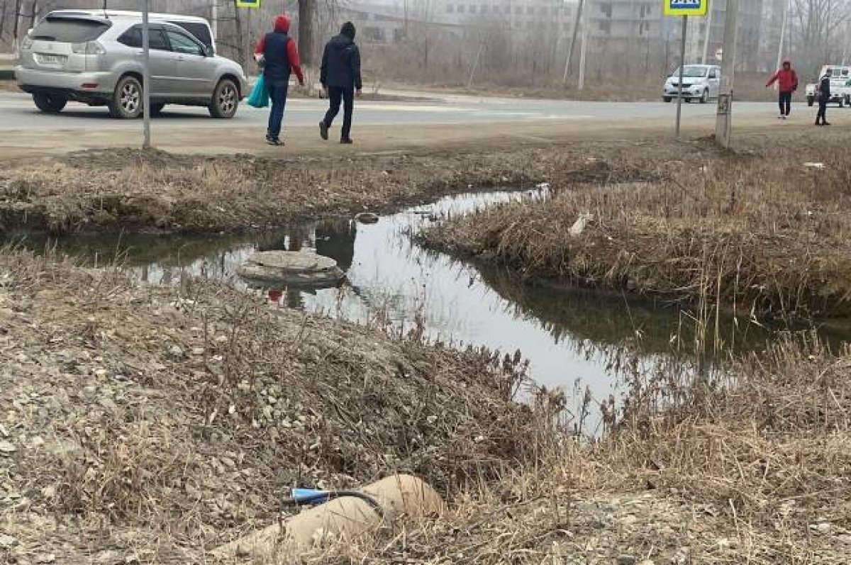    Жители Красноярска жалуются на вонючий ручей в Покровке