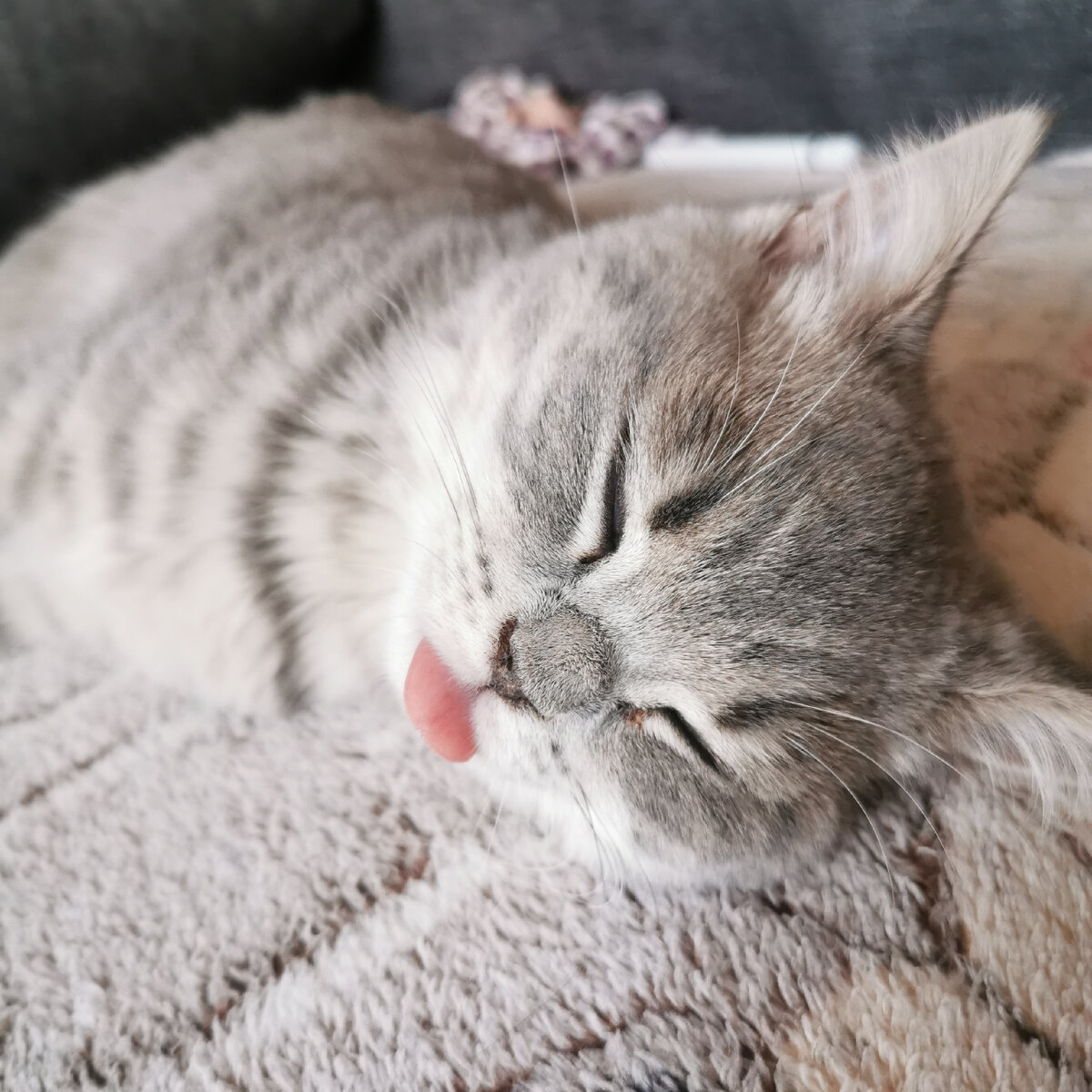 Фото автора милейшее