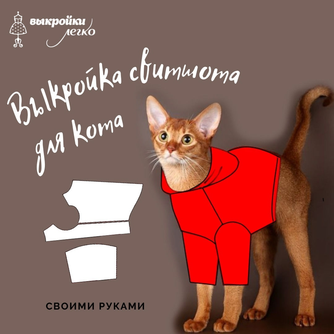 ВЫКРОЙКА СВИТШОТА ДЛЯ КОТА | Выкройки-легко | Дзен