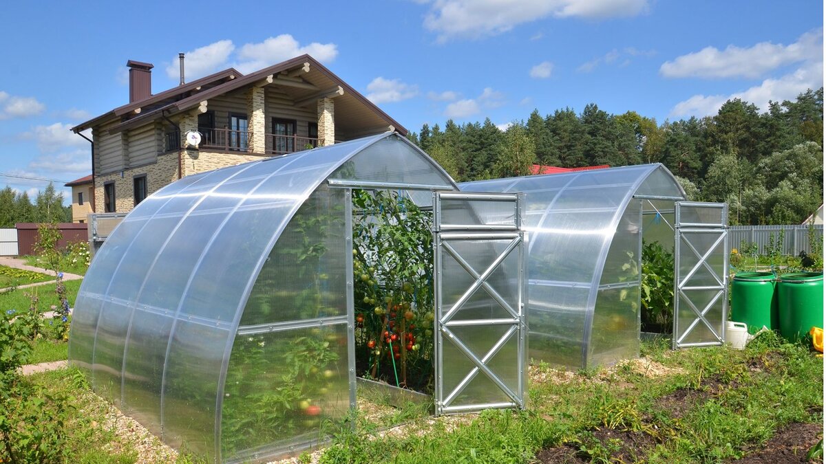 Источник изображения: Яндекс.Картинки