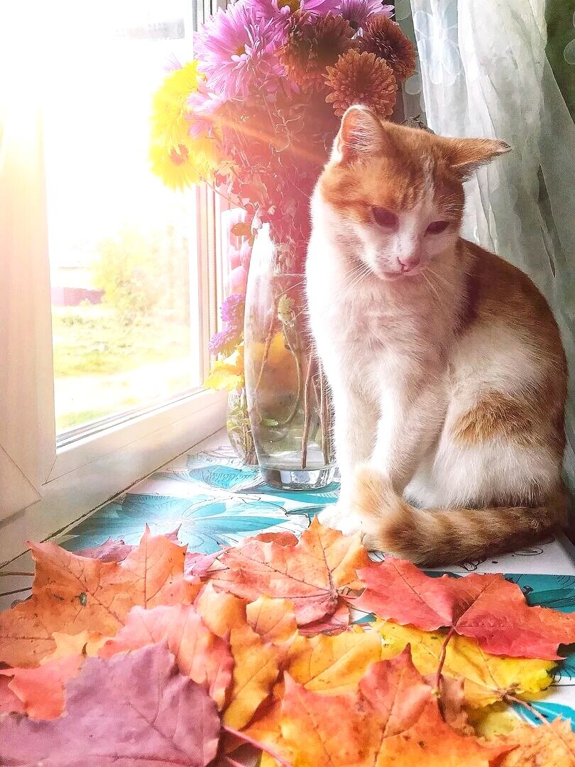 Источник: Яндекс картинки