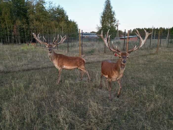 Листайте вправо, чтобы увидеть больше изображений