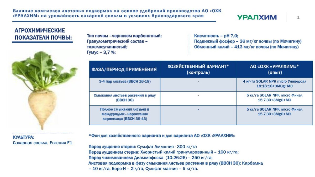 Магний внекорневая подкормка. Листовая подкормка. Урожайность сахарной свеклы. Внекорневая подкормка. Внекорневые подкормки озимой пшеницы.