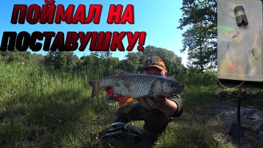 Снасть самолов на зубаря, навагу RB-Bait A2