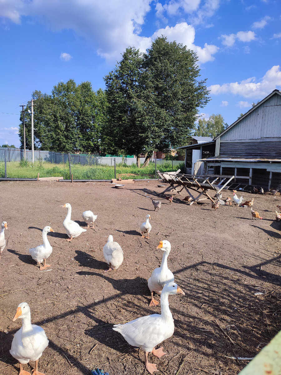 Все фото автора 