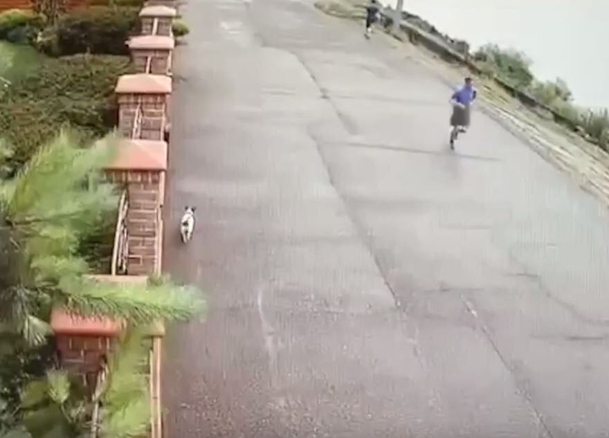    Пробежка Станислава Ржицкого Кадр из видео