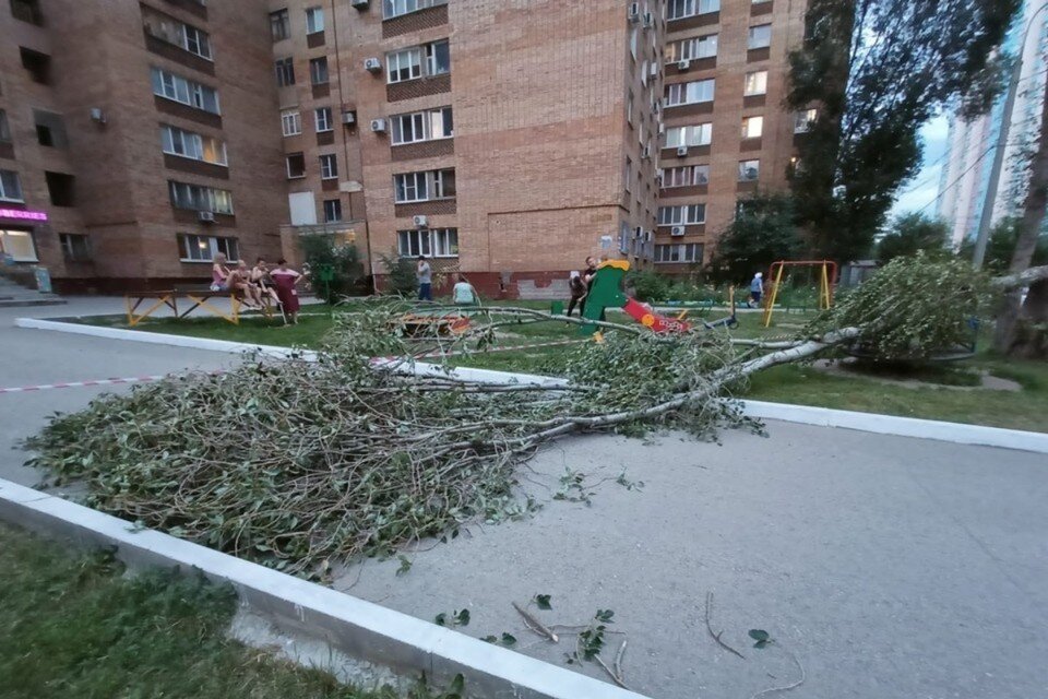    Дерево рухнуло прямо на карусель, где катались дети. Фото: СУ СКР по Самарской области.