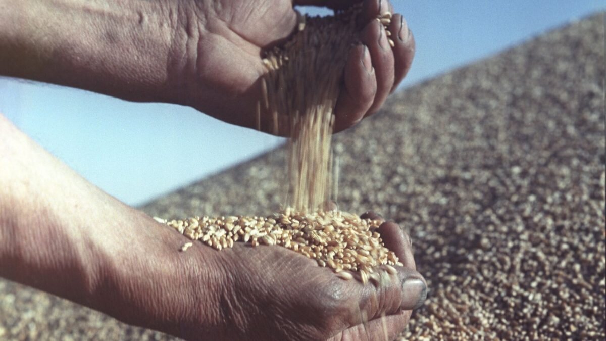    Фото: РИА Новости. Август Макаров