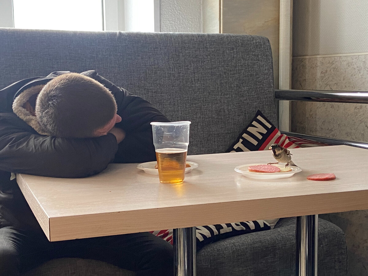 Пьющий птЫц - горе в семье! (Фото из личного архива автора (С), 2023 г.)