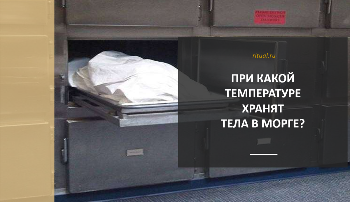 Книга мишель сапане репортаж из морга. Мишель сапане судмедэксперт. Мишель сапане репортаж из морга. Мишель сапане судмедэксперт. Мишель сапане писатель.