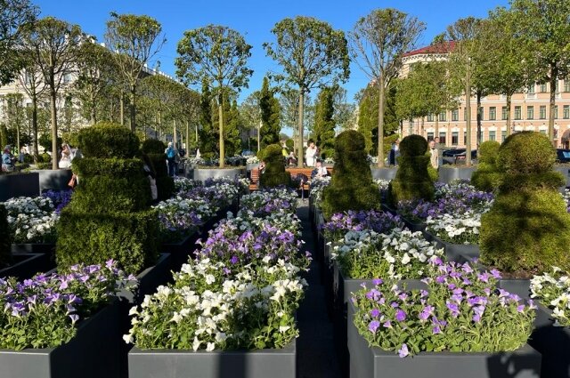    Фото:  АиФ/ Татьяна Швецова