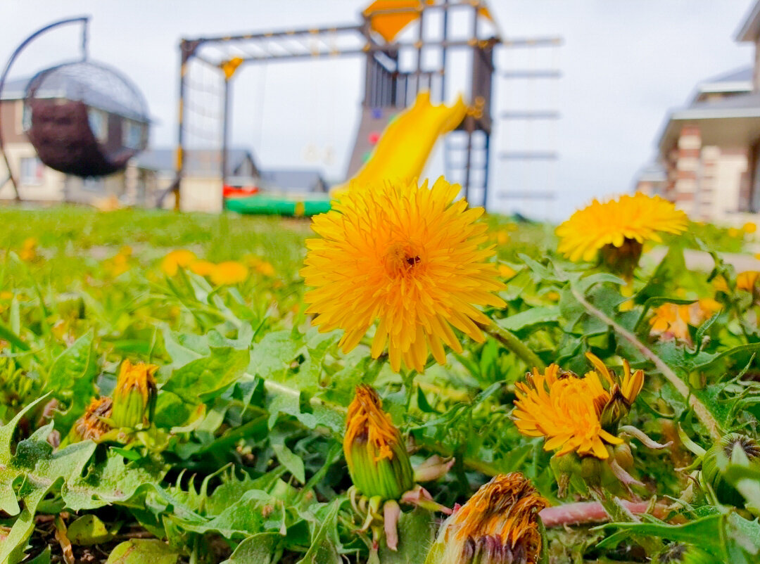 Детская площадка появилась у нас на участке самой первой и дочка не вылазит с неё до сих пор))