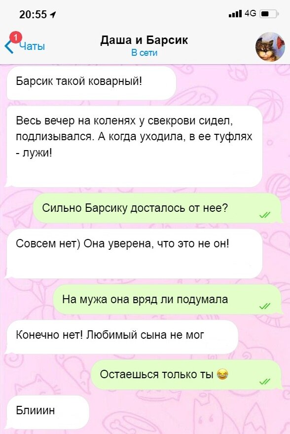 Все изображения - автора канала "СобачьЯ жизнь".
