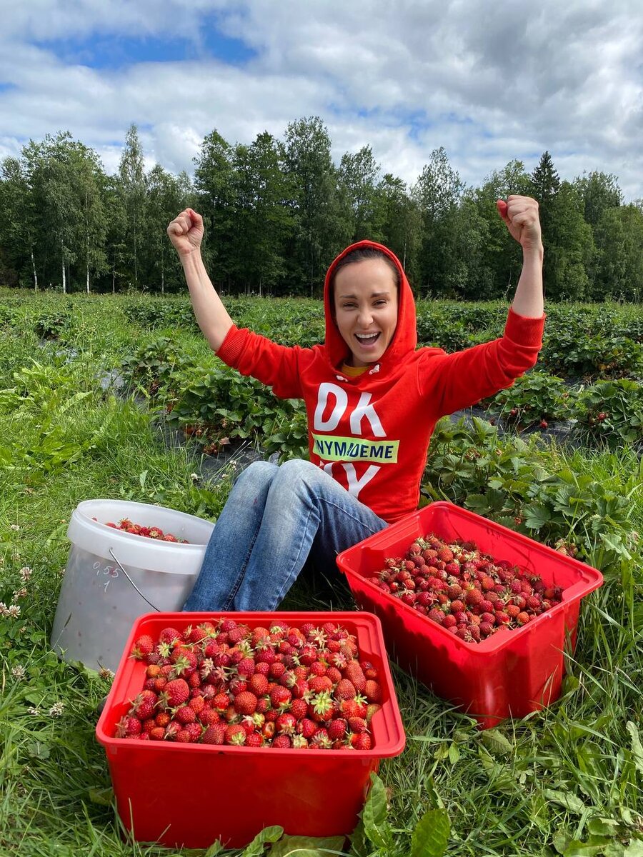 Клубника настенька. Июль ягоды. Земляника и клубника. Звонкое лето клубника.