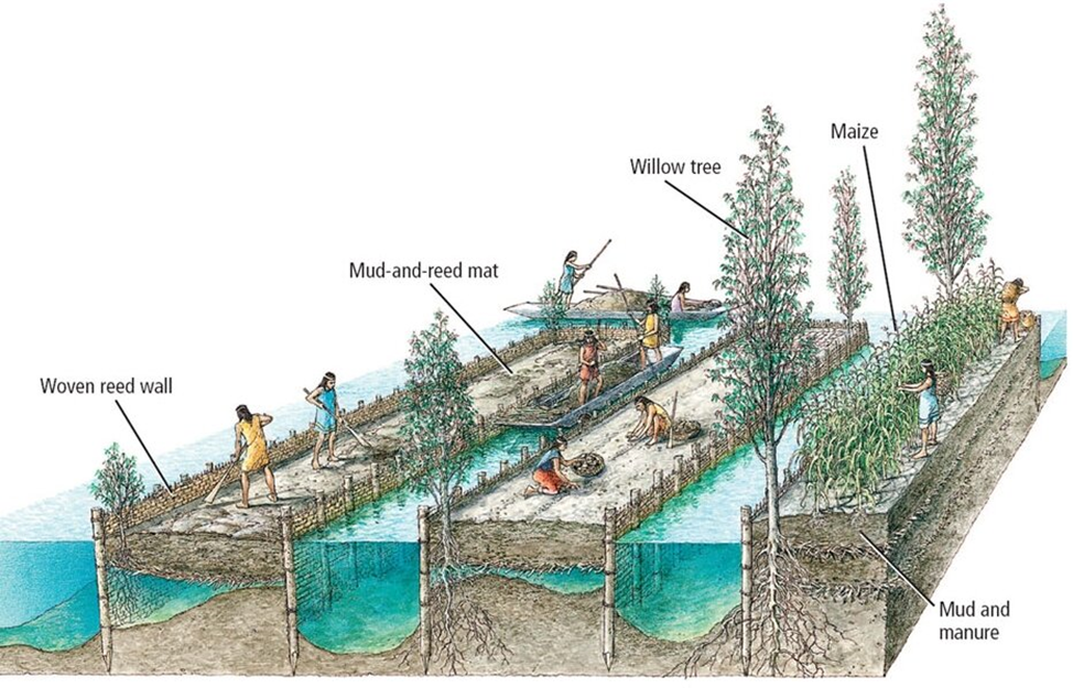 Схема чинампаса (Источник изображения: https://www.thearchaeologist.org)