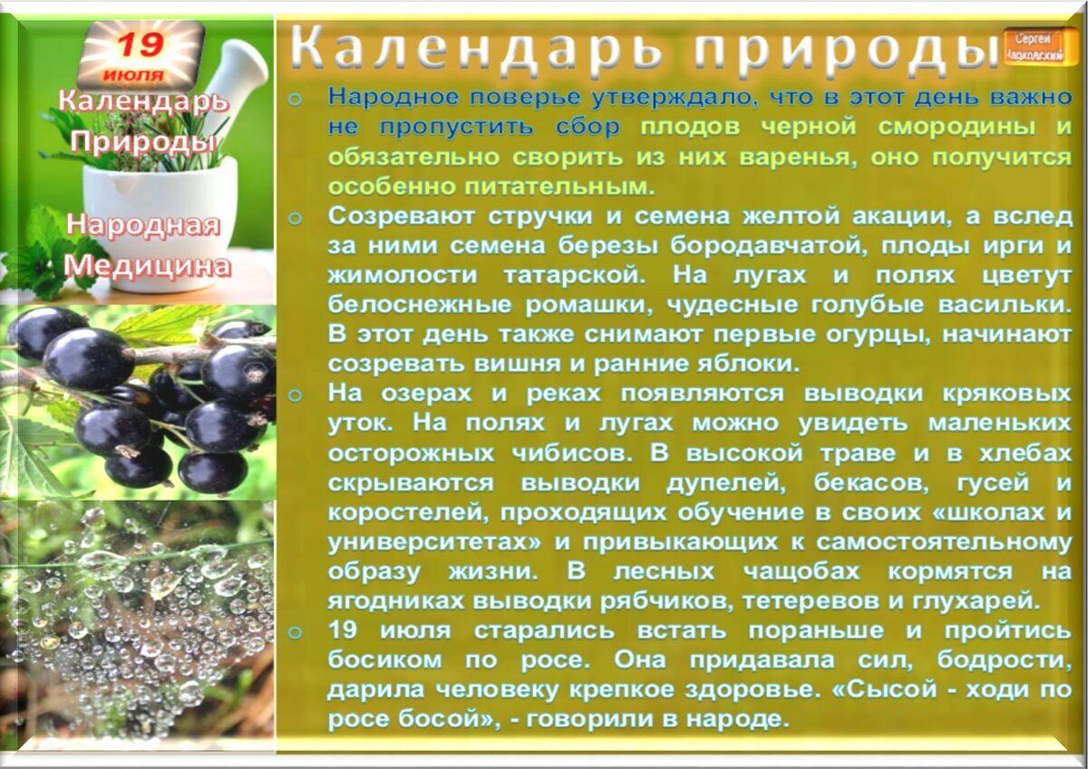 28 июля приметы. 19 Июля приметы дня