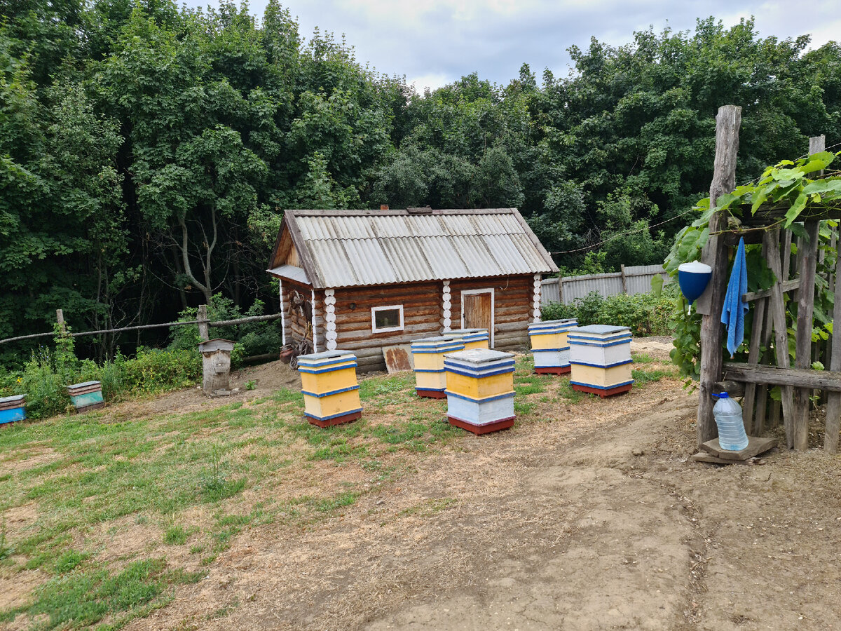 Медовое и пчеловодческое подворье "Урман"