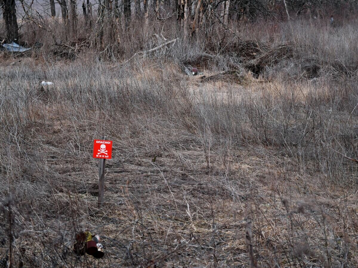   Помощь беженцам из окрестностей Мариуполя и жителям на территориях ДНР© РИА Новости / Виктор Антонюк