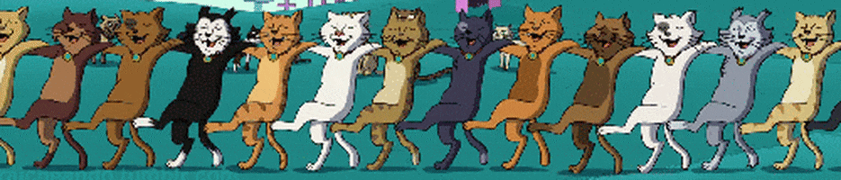 кошки тануцют