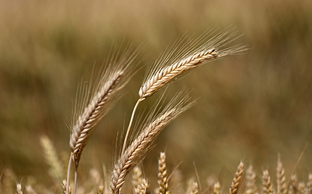 ФОТО: Из цитируемого источника