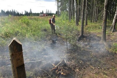    Ликвидация лесного пожара в Подмосковье © Пресс-служба Комитета лесного хозяйства Московской области