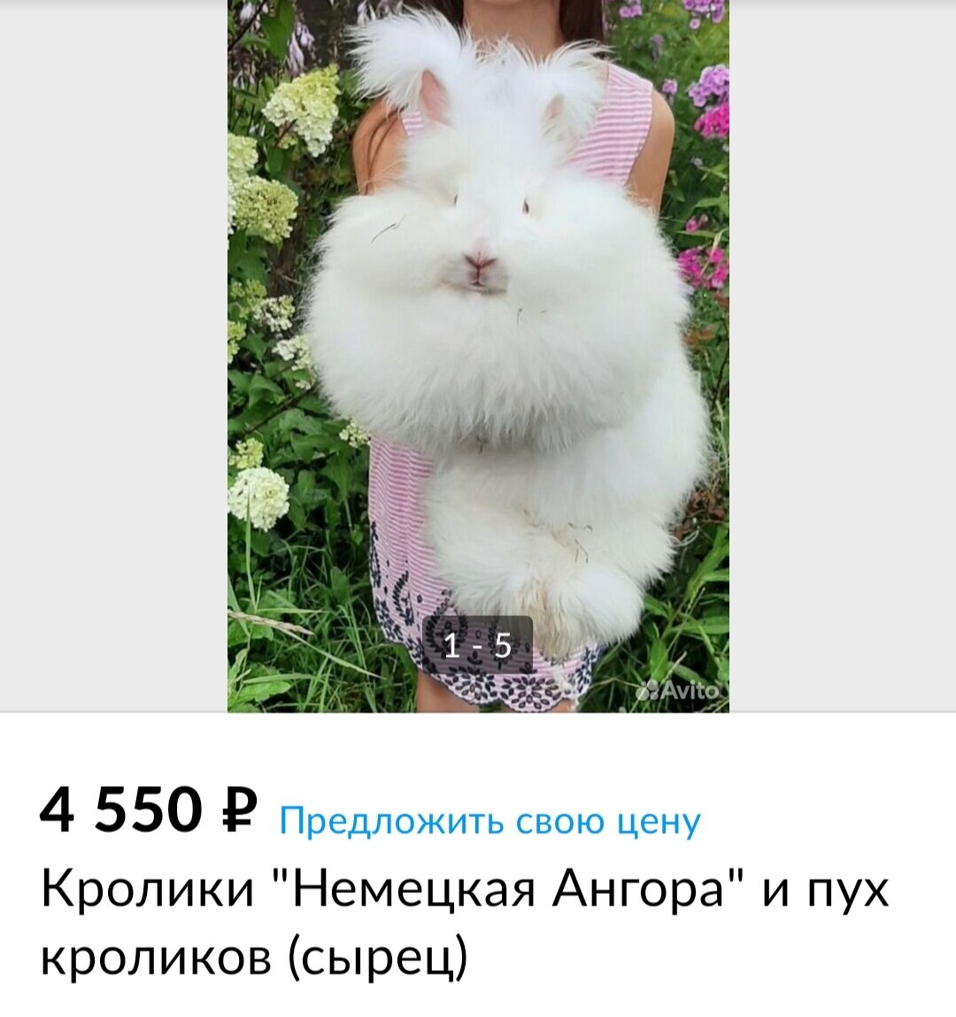 Скриншот с сайта Авито