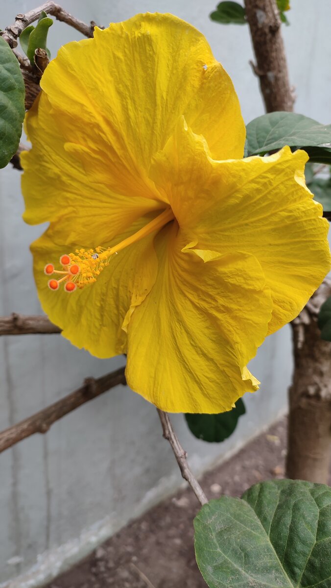 Обычная сьемка