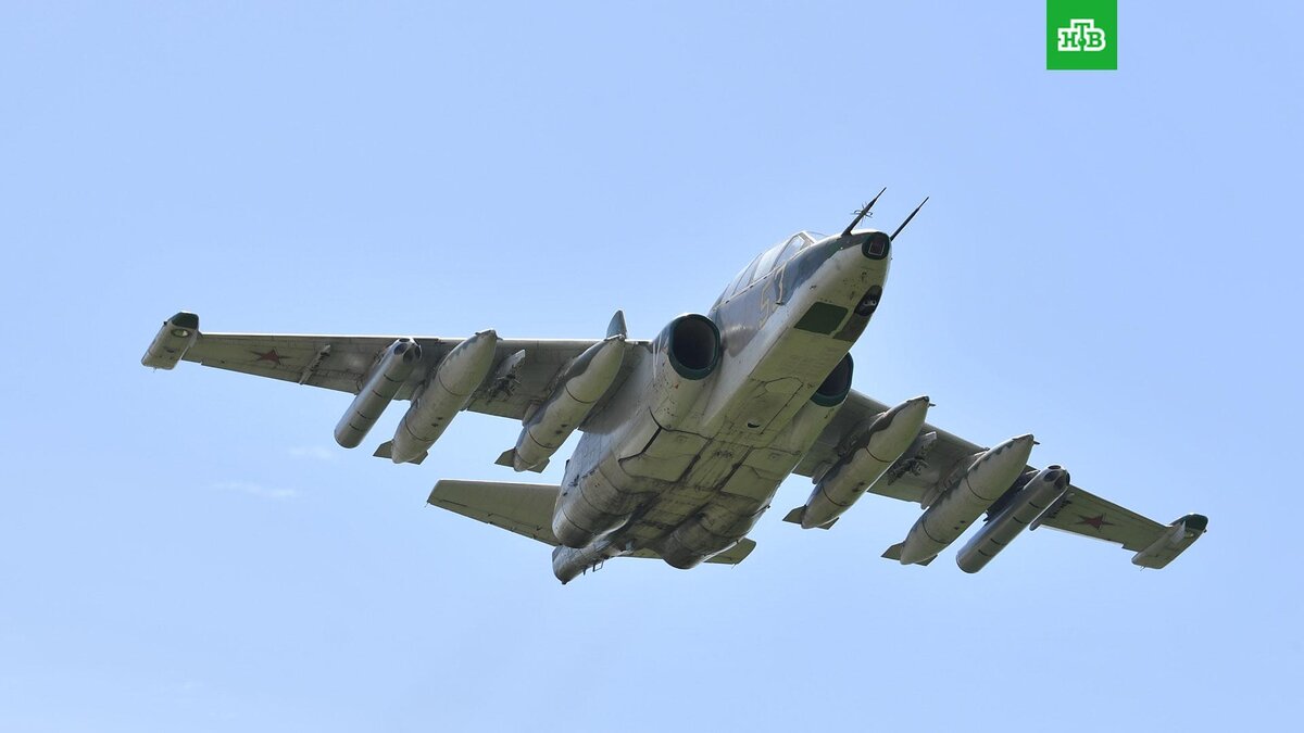    Фото: РИА Новости © 2023