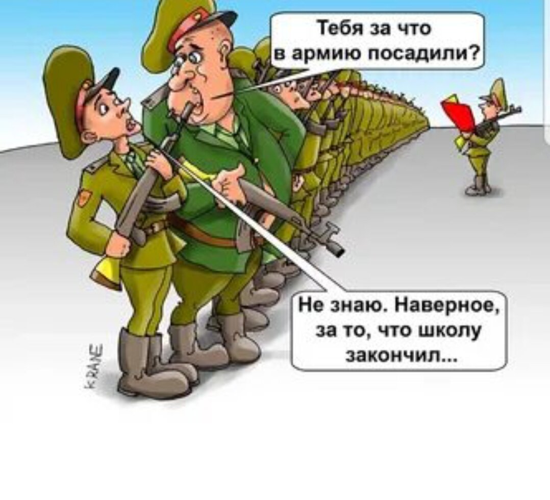 Фото из открытого источника. 