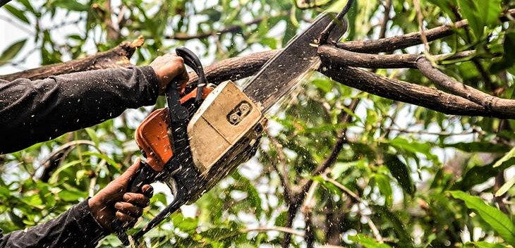 Подойдет ли Моторное и Трансмиссионное масло для смазки цепи пилы? Что ...