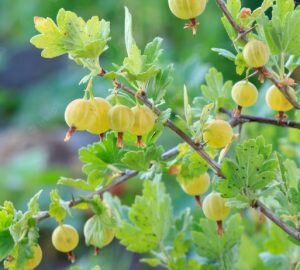    Фото: freepik.com Анна Полякова