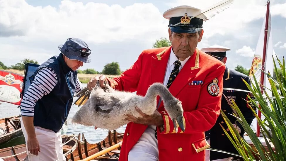 Фото с сайта BBC