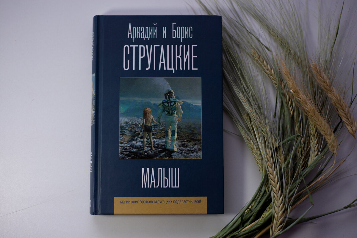 Стругацкие книги аудиокниги. Повесть малыш Стругацкие анализ.